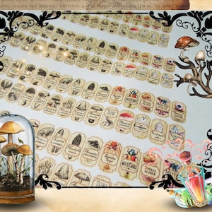 May include: A sheet of vintage-style mushroom labels with illustrations and names like "Spider Toys", "Small Slime", "Moth Wings", and "Human Eyeballs".