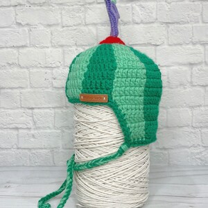 Cocomelon Hat/cocomelon Crochet Hat/ Cocomelon Crochet Ear Etsy Canada