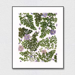 Geperste bloemenkunstprint A4-formaat, botanische kunstprint, geperste varenkunst