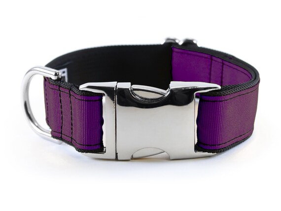 purple dog collars