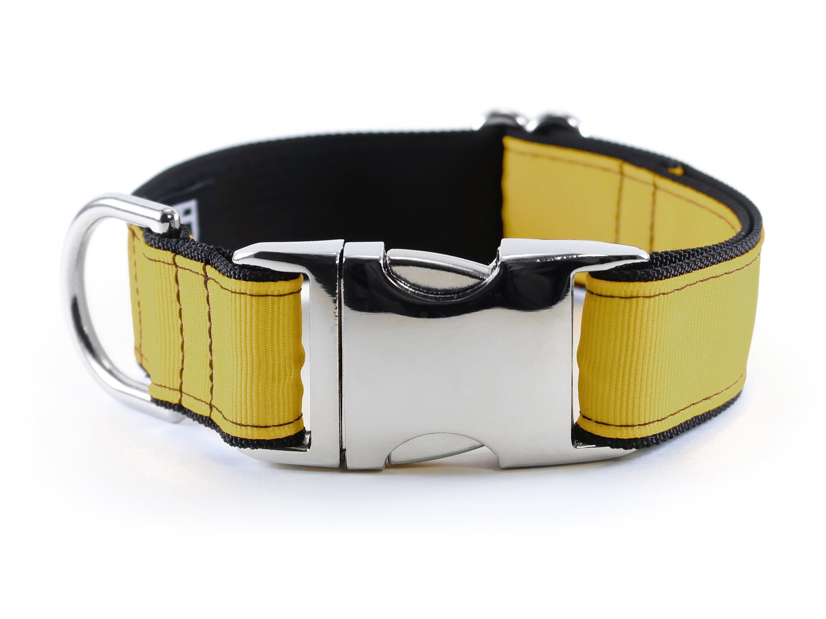 yellow dog collars