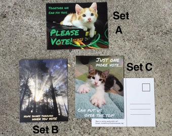 Bulk 500 card set of Postcards to Voters