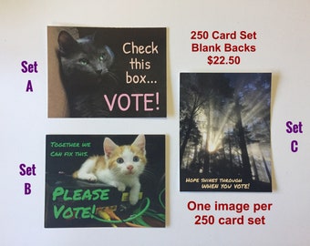 250 Voter Postcards - Choose one set of Hope Shines, Check This Box, or Together We Can Fix This