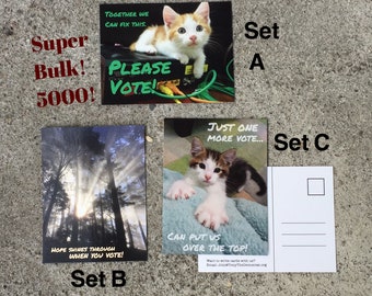 Super-Bulk 5000 card set of Postcards to Voters