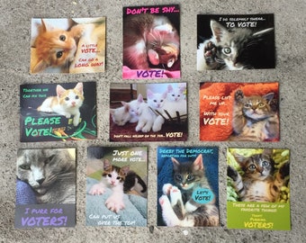 100 Purr-suasive Postcards to Voters - 10 each of 10 different designs