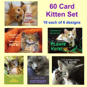 60 Purr-suasive Postcards to Voters - 10 each of 6 different designs