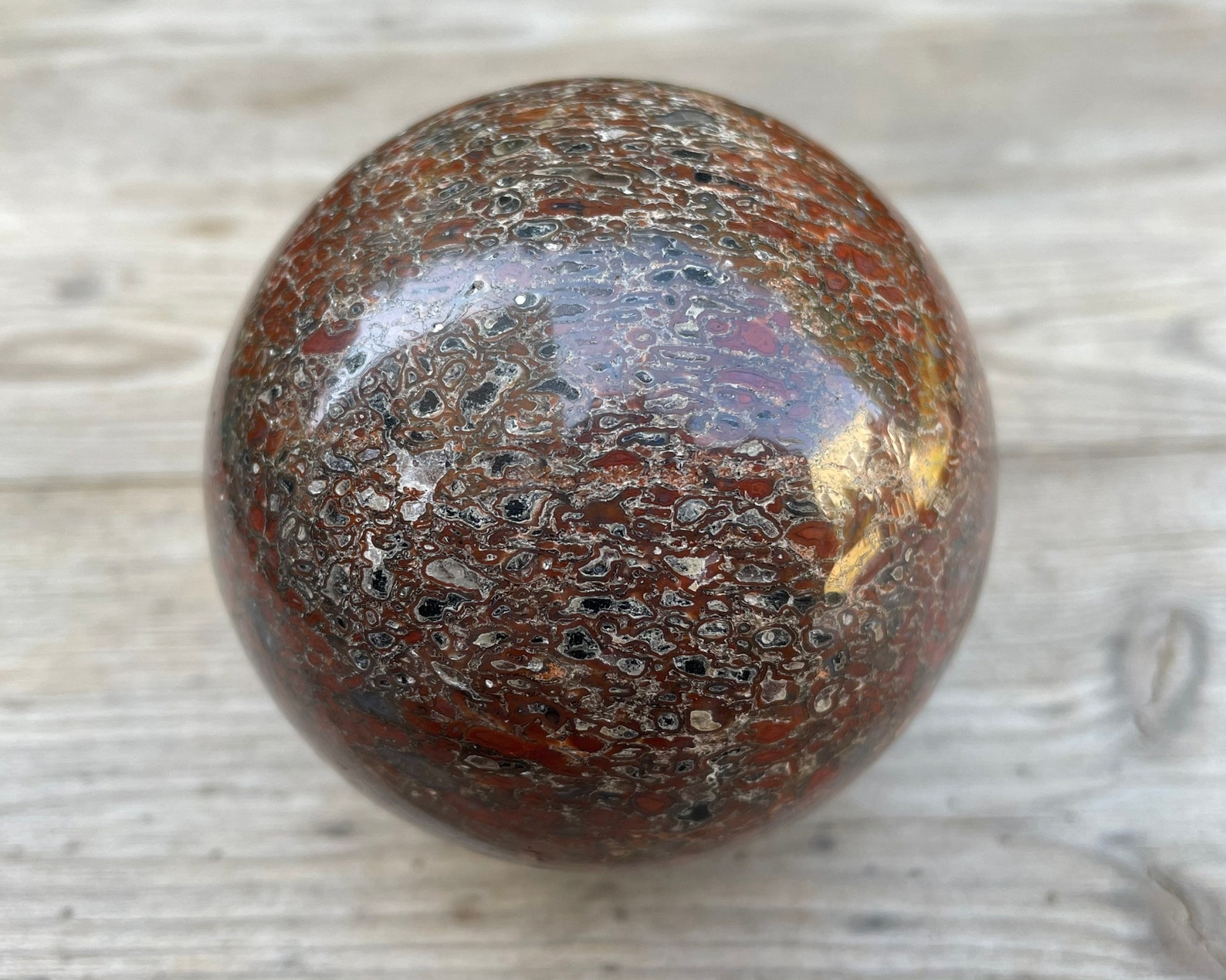 Dinosaur Gembone Sphere Natural Fossil Dinosaur Gem Bone Round Specimen ...