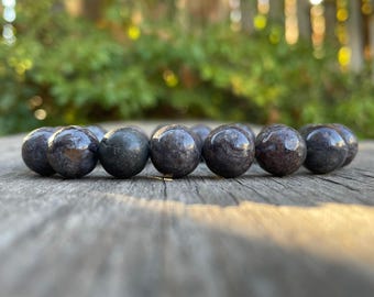 Chunky Dinosaur Gembone Bracelet 12mm Rare Fossilized Dino Bone Beaded Gemstone Bracelet Petrified Dinosaur Bone Bracelet Energy Bracelet
