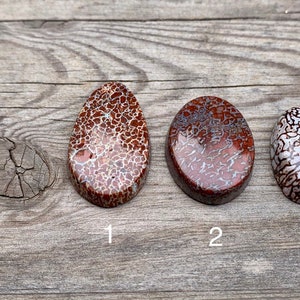 Dinosaur Gembone Cabochon Natural Unbacked Polished Agatized Fossil Dino Bone Cab Unique Fossilized Dinosaur Bone Cabochon