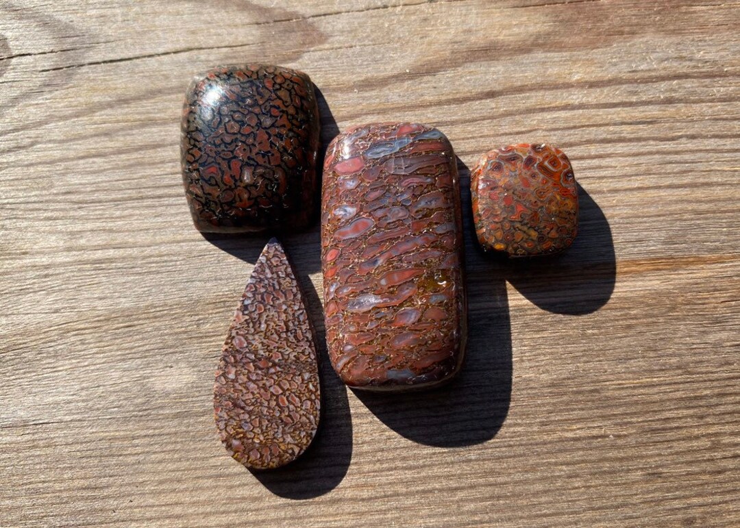 Dinosaur Gembone Cabochon Natural Unbacked Polished Agatized Fossil ...