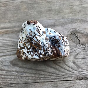 Astrophyllite Rough Specimen Medium Sized Natural Astrophyllite Rare Star Burst Astrophyllite Crystal Gold and Bronze Lustre Astrophyllite