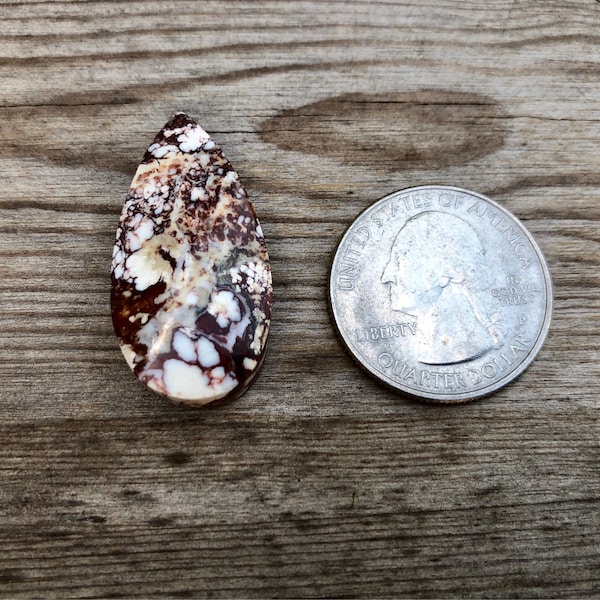 Wild Horse Cabochon Natural Fine Polish Appaloosa Stone Cab White And Brown Mottled Wild Horse Teardrop Cabochon Crazy Horse Cab