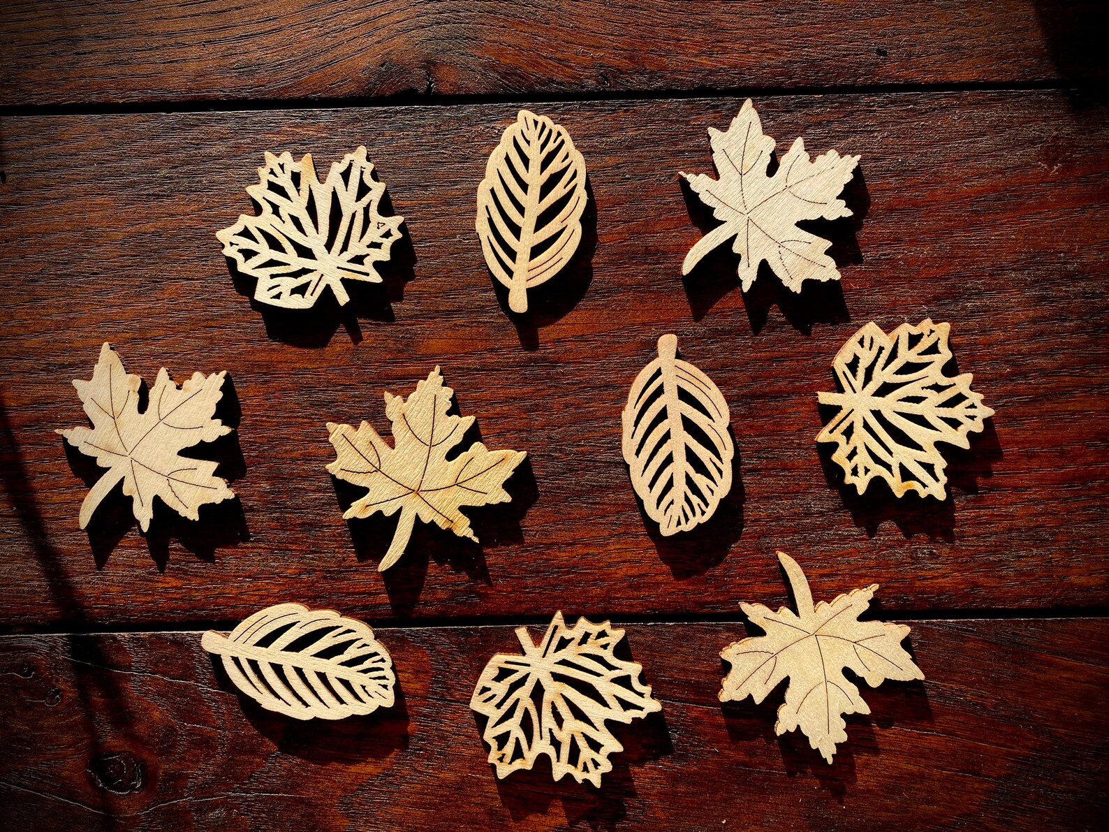 Wooden Die Cut Leaves Etsy