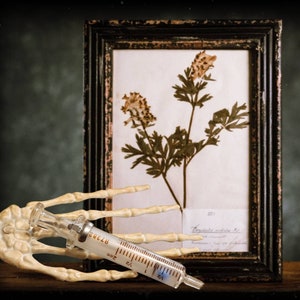 Vintage Syringe, Glass, Vintage Medical, Glass , Injection, Oddities, Curiosities