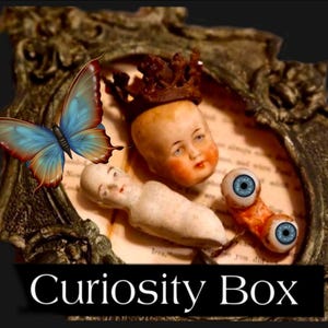 May include: A framed composition featuring a butterfly with blue and red wings, antique doll parts, and a pair of blue eyes. The text "Curiosity Box" is displayed at the bottom, suggesting a collection of oddities.