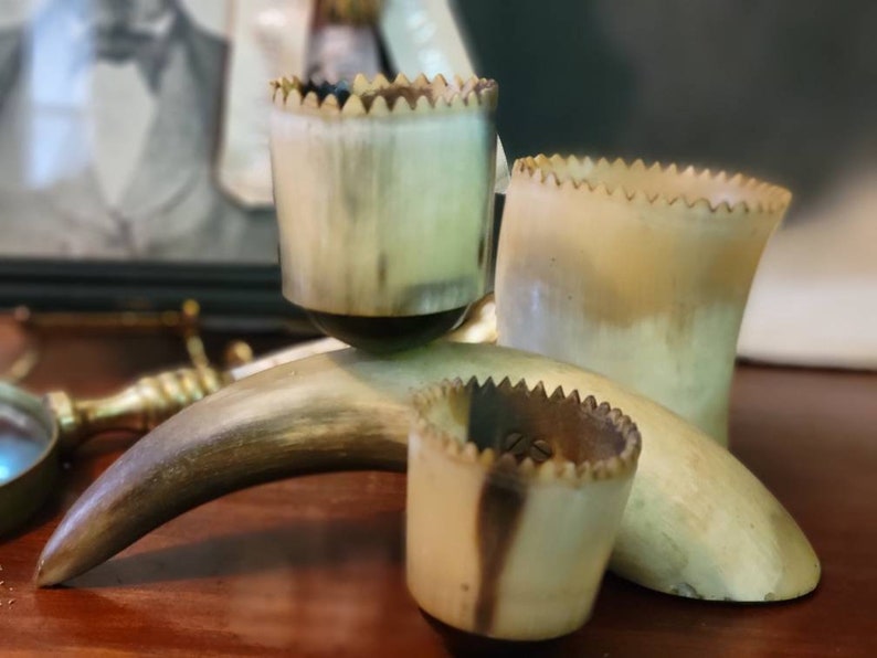 Vintage Animal Horn Desk Organizer Real Horns Taxidermy Etsy
