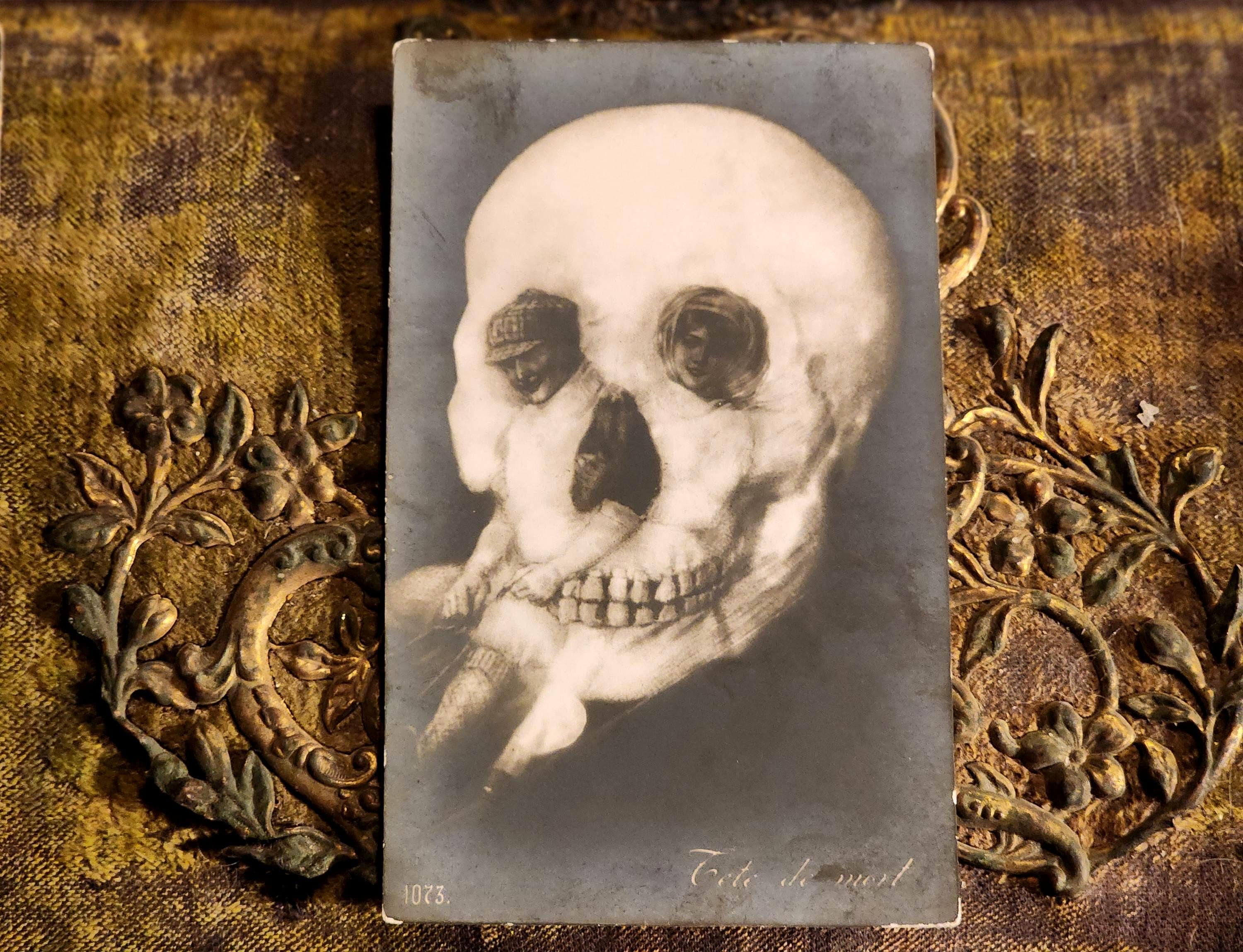 Antique Postcard, Skull, Curiosities, Metamorphic, Optical Illusion ...