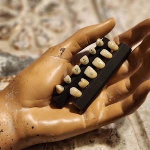 May include: A collection of small, off-white teeth arranged on a black rectangular base. The teeth are set against a tan-colored hand, creating a stark contrast. The background is a blurred, textured surface.