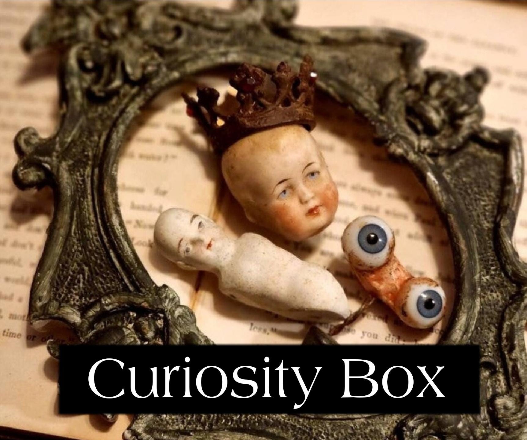 Curiosity Box Curated By Me