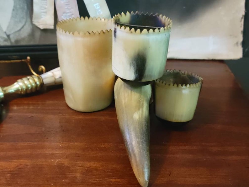 Vintage Animal Horn Desk Organizer Real Horns Taxidermy Etsy