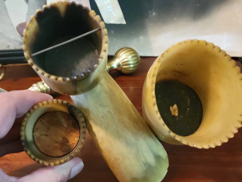 Vintage Animal Horn Desk Organizer Real Horns Taxidermy Etsy