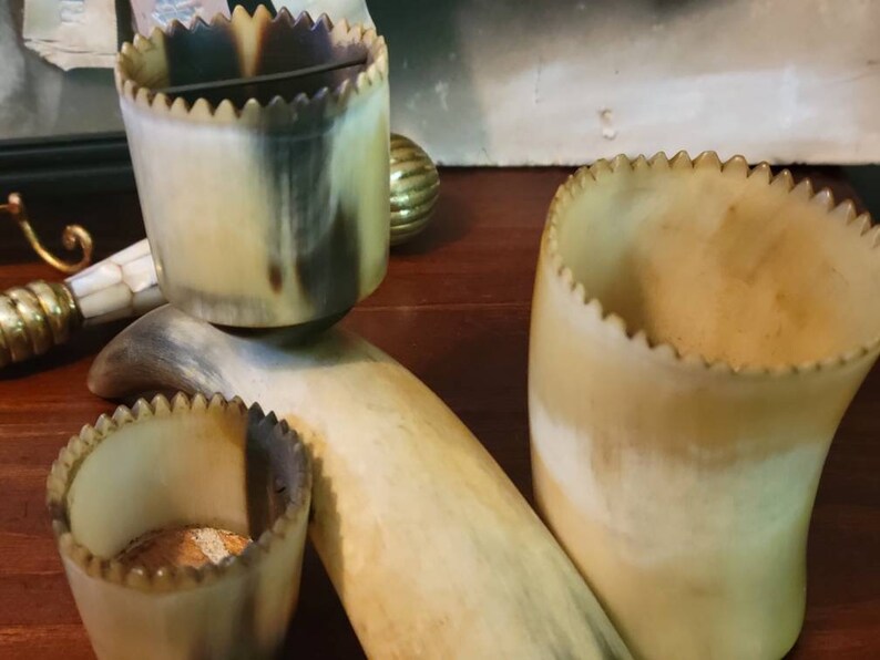 Vintage Animal Horn Desk Organizer Real Horns Taxidermy Etsy