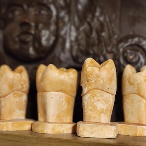 Antique Teeth Models, Plaster, Dentist, Human Teeth, Vintage, Curiosities, Set of 4, Dental , Teeth, Medical Model
