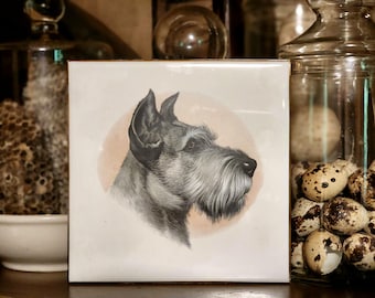 May include: Square ceramic tile featuring a detailed black and white portrait of a Schnauzer dog's head, set against a soft peach-colored circle. The tile is white with a glossy finish. The dog's fur is meticulously rendered.