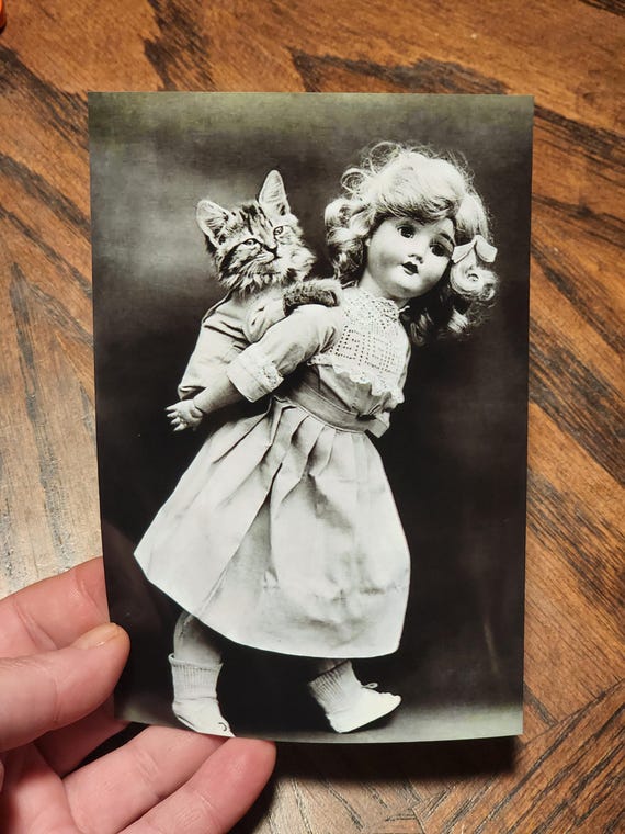 1900's Doll and Kitten Photo, Reprint, Black and White Photo