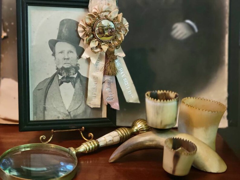 Vintage Animal Horn Desk Organizer Real Horns Taxidermy Etsy