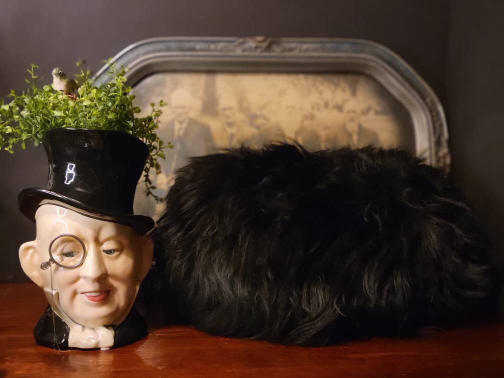 Antique Victorian Black Bear Muff, Fur, Hand Muff, Black Bear, Antique, Taxidermy