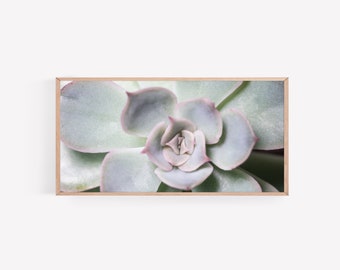 Pano saftig Wandkunst, botanische Digitaldruck, saftig Druck, Wüste Wandkunst, minimalistische saftig Kunstdruck, botanische Druck Poster