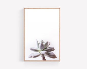 Saftige Wandkunst, botanische Digitaldruck, saftig Druck, Wüste Wandkunst, minimalistische saftig Kunstdruck, botanische Druck Poster
