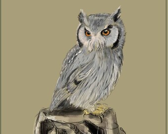Small Owl printable