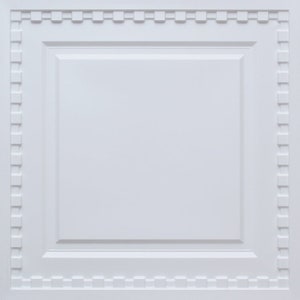 Faux Tin Decorative PVC Ceiling Tiles in White matte. Glue up/ Drop In to an existing 2x2 grid system Model #234 WM