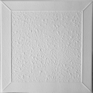 May include: White textured ceiling tile with a raised, embossed pattern. The tile has a smooth, white border.