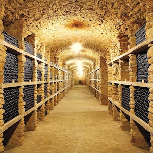 Old Cellar - Photo Mural 3D effect Wall Art Print Removable Wall Décor Accent Wall Wine Bottles Prepasted Wall Mural #MU1811