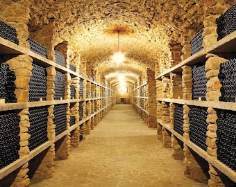 May include: A long, narrow, stone-walled wine cellar with rows of wooden shelves stacked with bottles of wine.