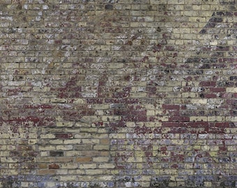 Vintage Brick Wall - Photo Mural 3D effect Wall Art Print Removable Wall Décor Accent Wall Prepasted Wall Mural #MU1558
