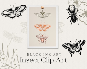 Insect Clip Art Illustrations - Black Ink Insects - Bug Clipart - Insects, Bugs, Butterly, Dragonfly, Bee Graphics