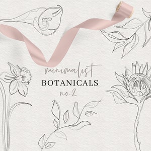 Fine art minimalist botanical line art no.2 - Elegant clipart flowers - Line drawing flower clip art - Minimalist floral illustrations
