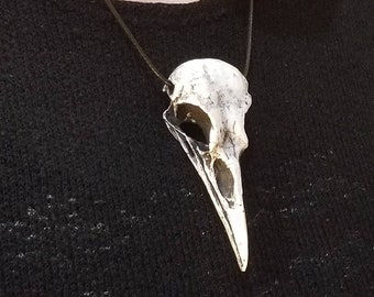 Raven Skull Necklace Bone White