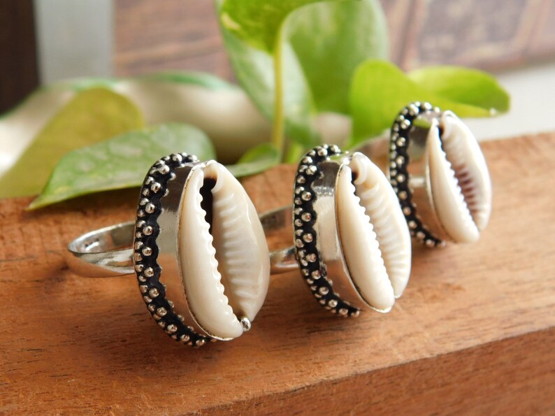 Sterling Silver Ringcowrie Shell Ring With Twiststatement Etsy