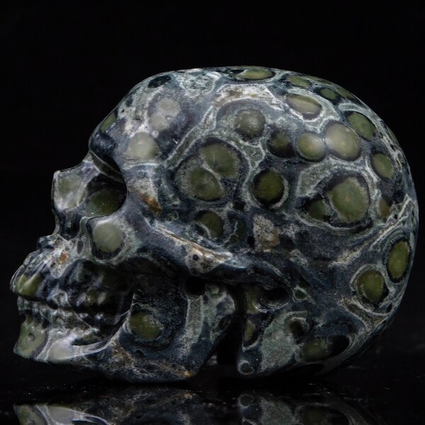 Crystal Skull Kambaba Jasper Skull