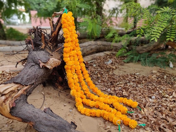 50 Natural Like Artificial Mango Orange Flower Garlands Etsy