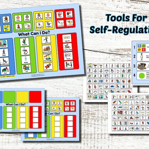 tools for self regulation zones of regulation sensory diet etsy