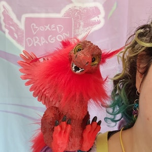 Op de afbeelding: Een rode drakenpop met een gevederde borst en vleugels. De draak heeft een gedetailleerd gezicht met gele ogen en scherpe tanden. De pop staat tegen een roze achtergrond met de tekst "Boxed Dragon".