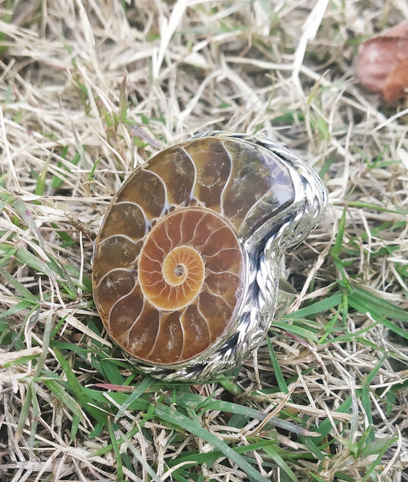Ammonite Fossil Ring 92.5 Sterling silver ring Big stone image 0