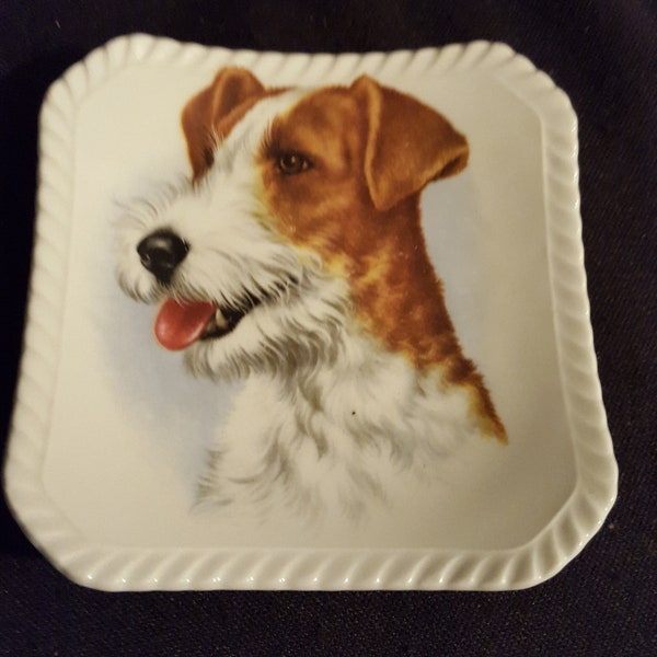 Vintage Royal Adderley England bone china small brown & white terrier dog plate 4x4 in. display plate