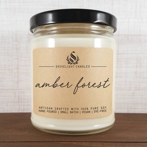AMBER FOREST | 9 oz Soy Candle | Amber Candle | Evergreen Candle | Sandalwood Candle | Fairytale Candle | Enchanted Woods | Irish Moss Scent